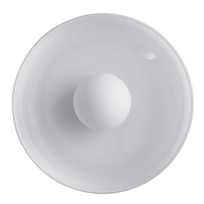 Disc Orb Wall / Flushmount