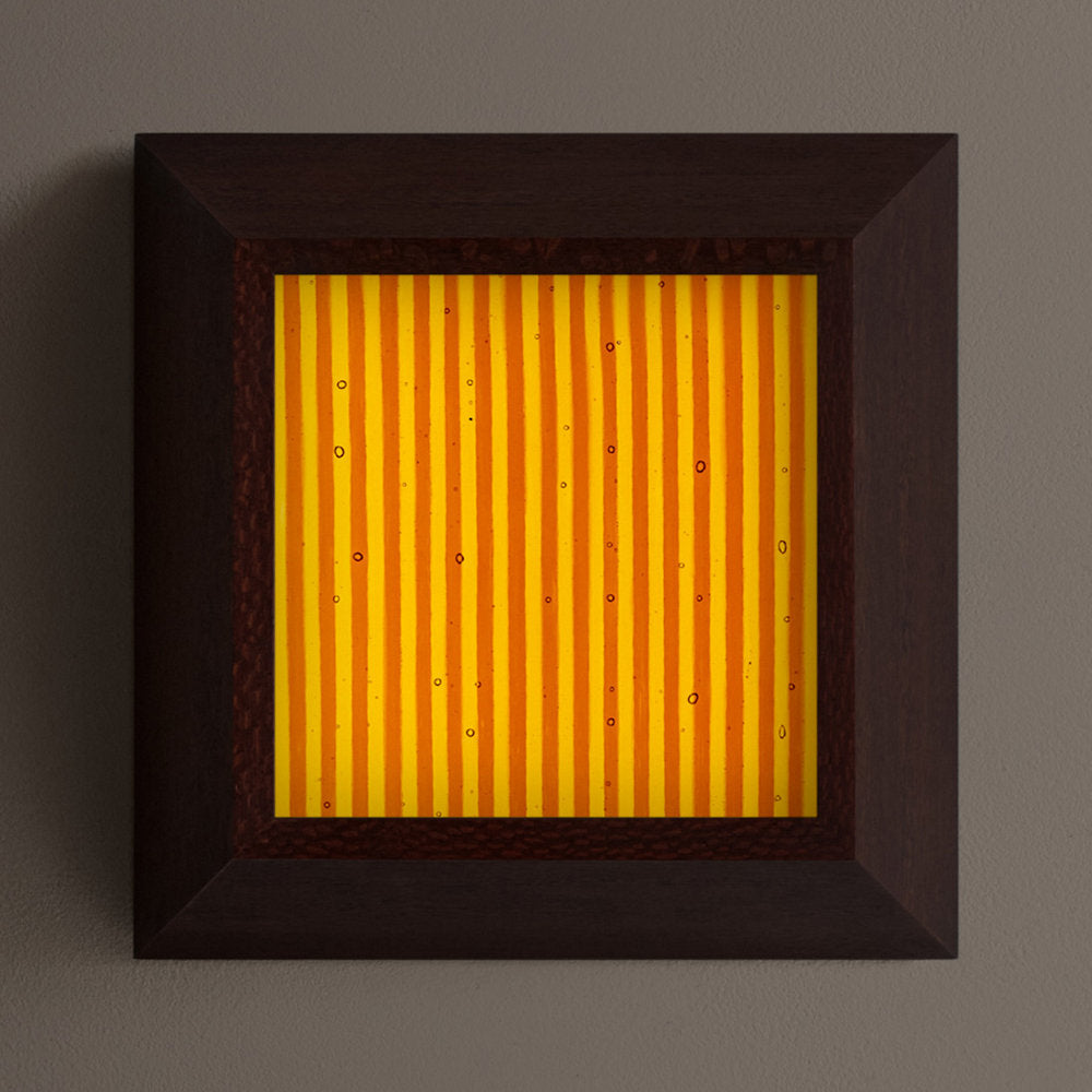 Mira Medium LED Wall / Flushmount