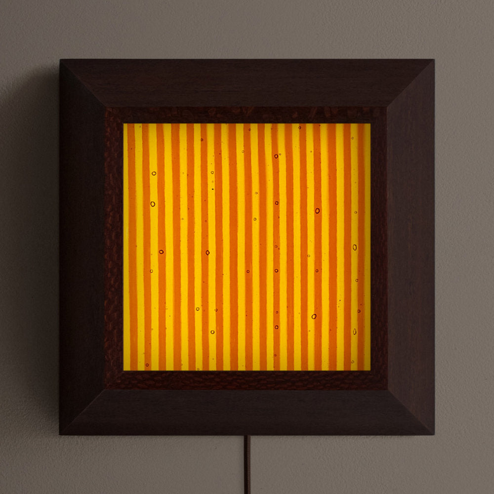 Mira Medium LED Wall / Flushmount
