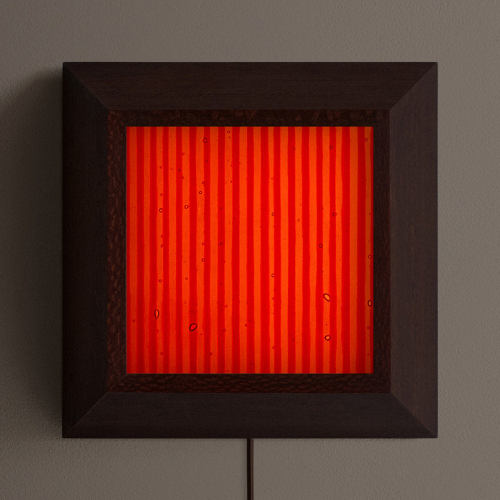 Mira Medium LED Wall / Flushmount