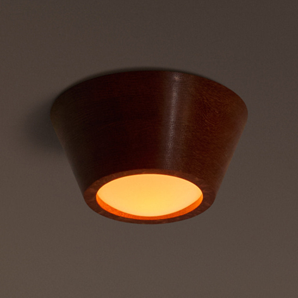 Elio LED Wall / Flushmount