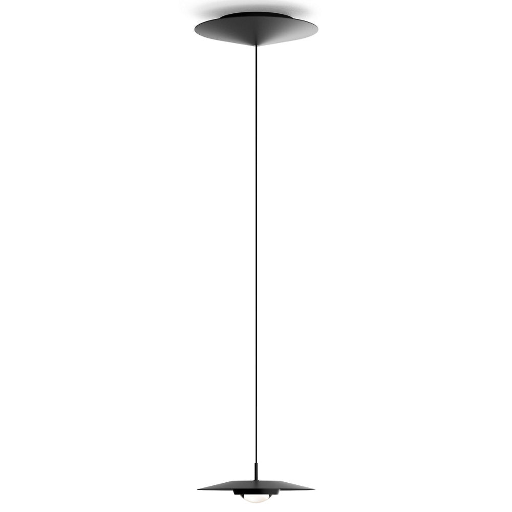 Koine LED Pendant