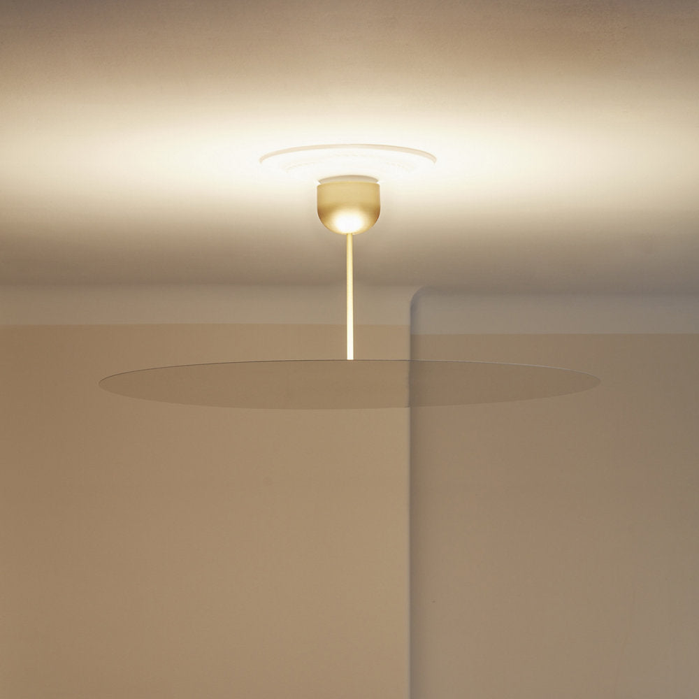 Millimetro LED Pendant