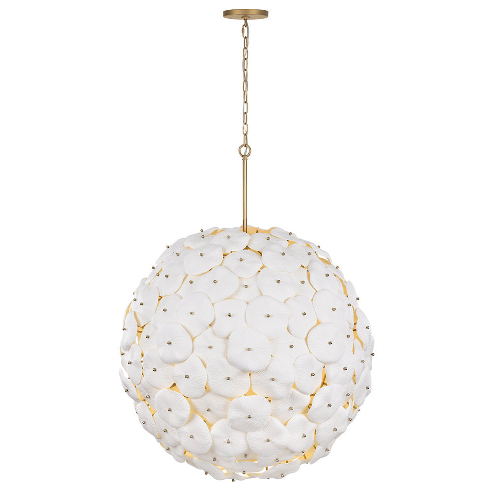 Coastlyn Chandelier