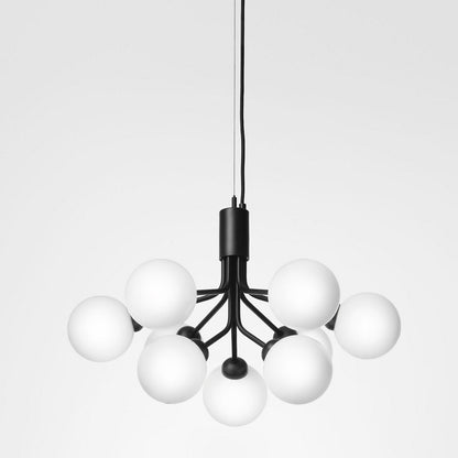 Apiales Chandelier