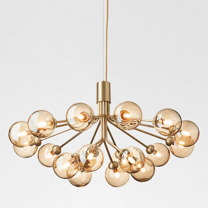 Apiales Chandelier
