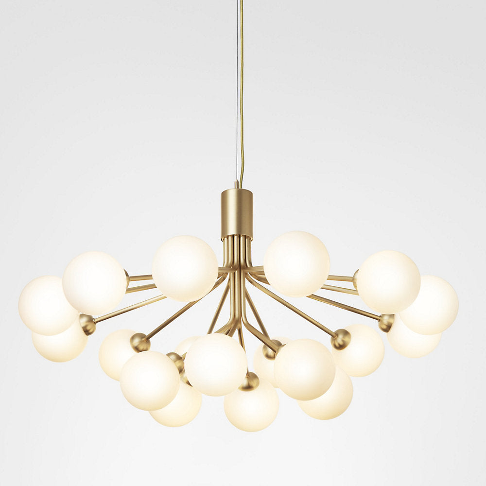 Apiales Chandelier