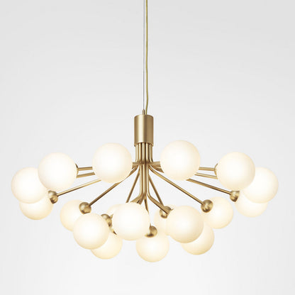 Apiales Chandelier