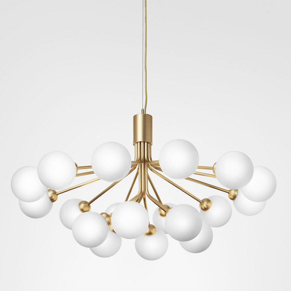 Apiales Chandelier