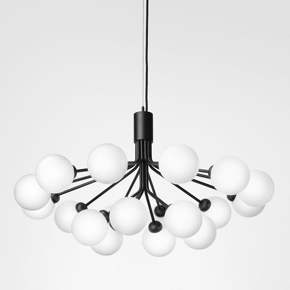 Apiales Chandelier