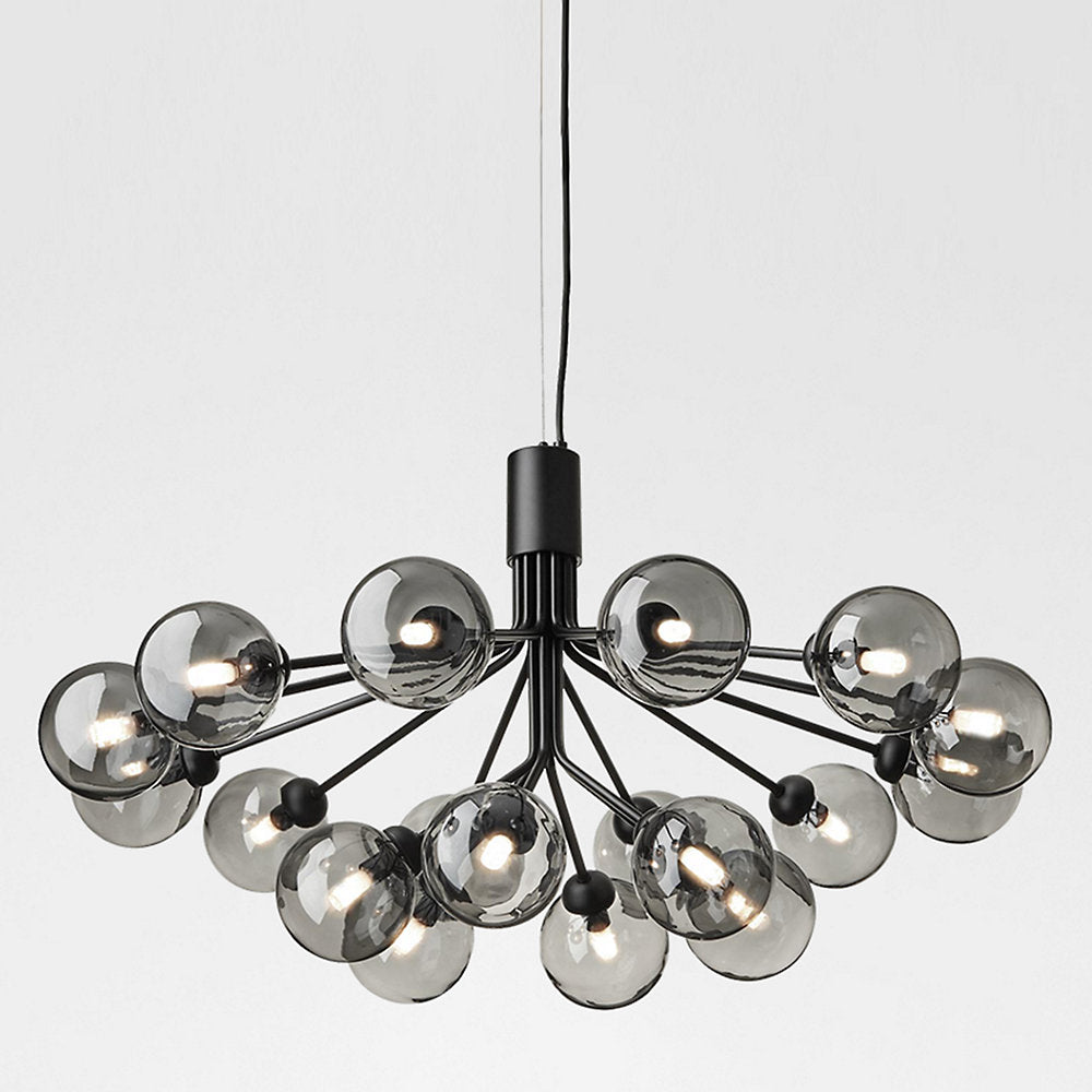 Apiales Chandelier