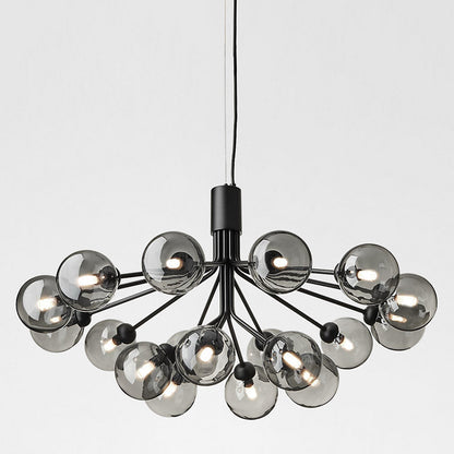 Apiales Chandelier