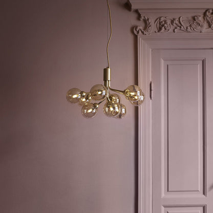 Apiales Chandelier