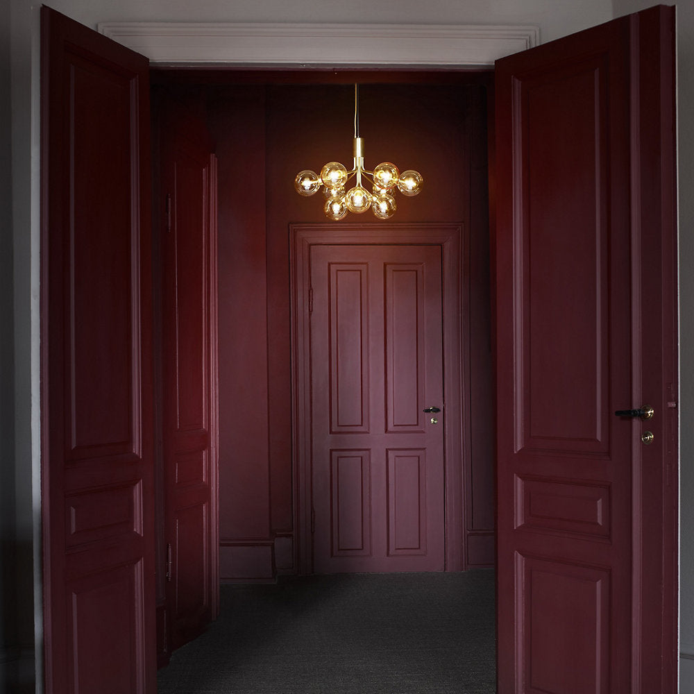 Apiales Chandelier