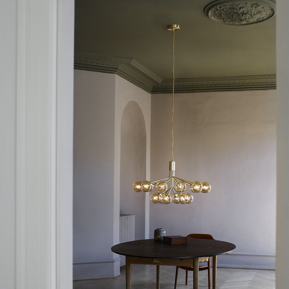 Apiales Chandelier