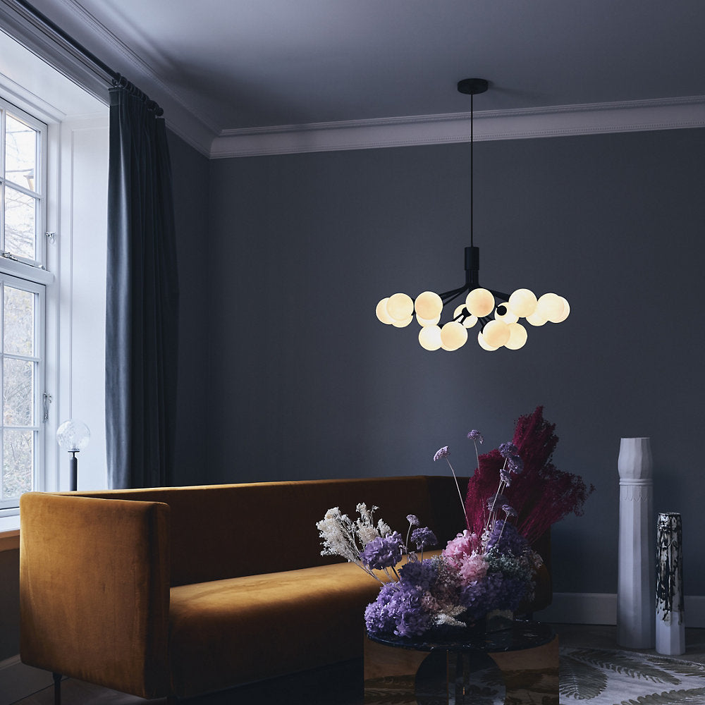Apiales Chandelier