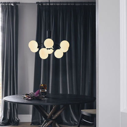 Apiales Chandelier