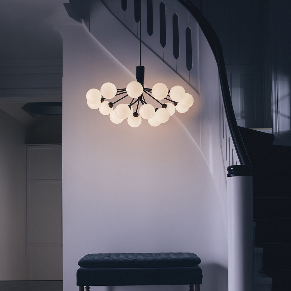 Apiales Chandelier