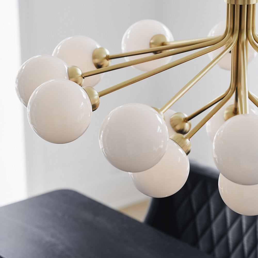 Apiales Chandelier