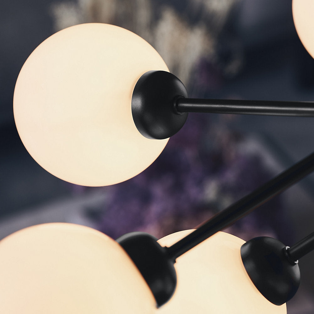 Apiales Chandelier