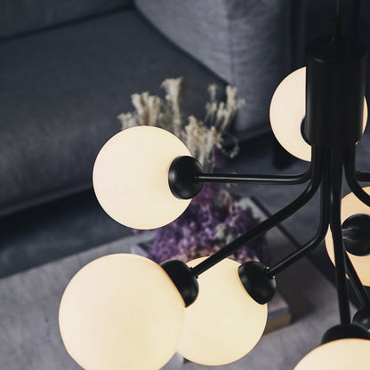 Apiales Chandelier
