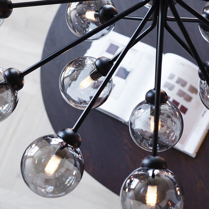 Apiales Chandelier