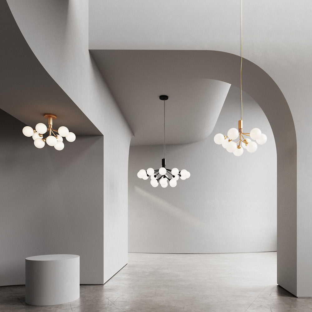 Apiales Chandelier