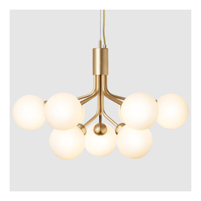 Apiales Chandelier