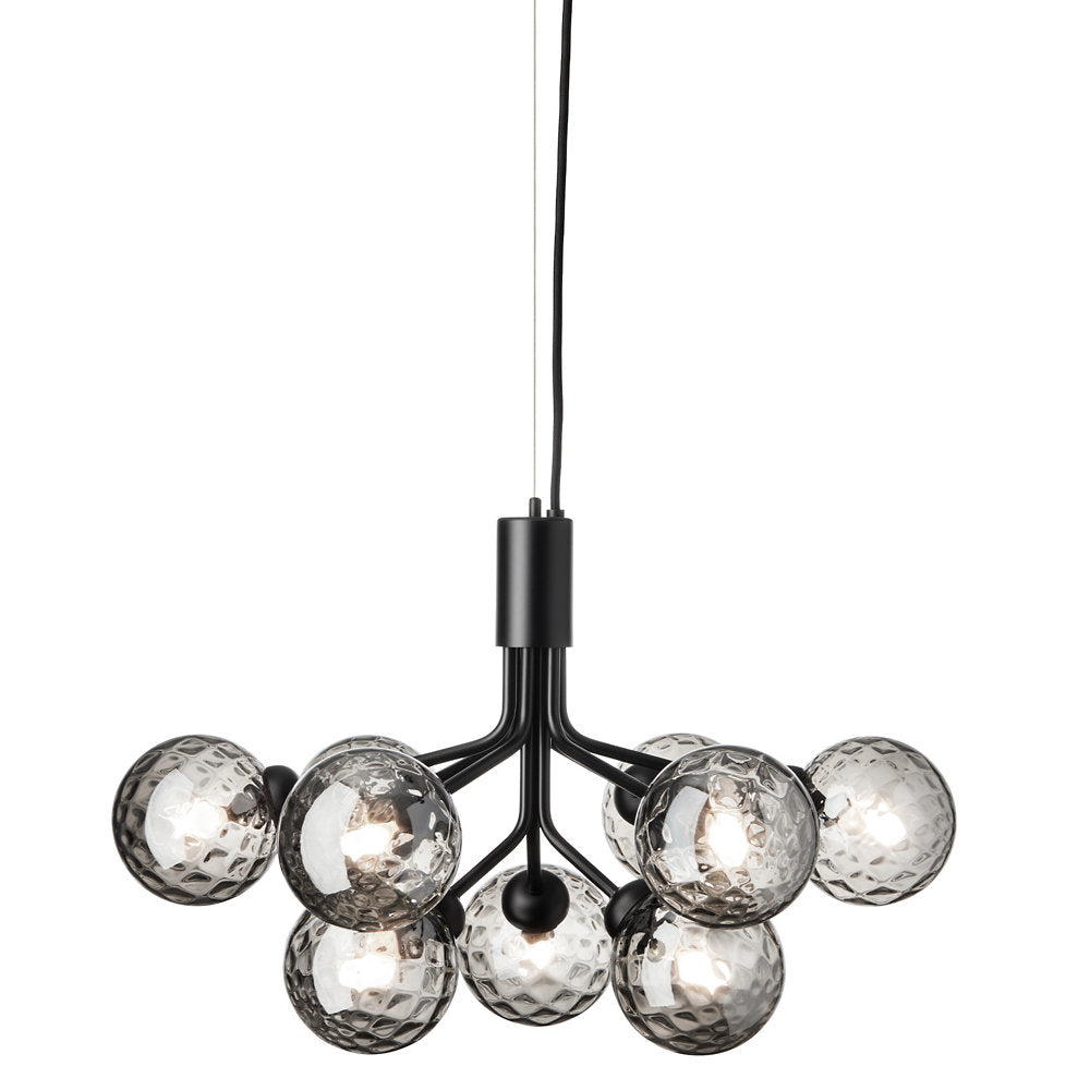 Apiales Chandelier
