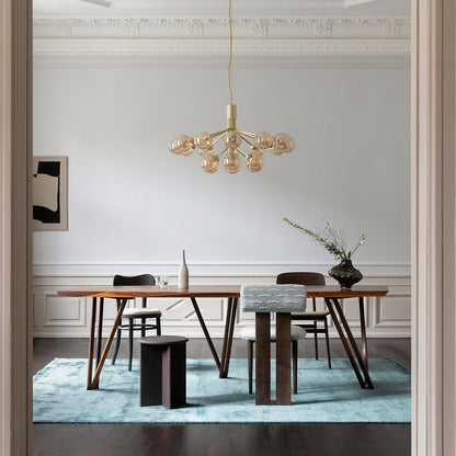 Apiales Chandelier