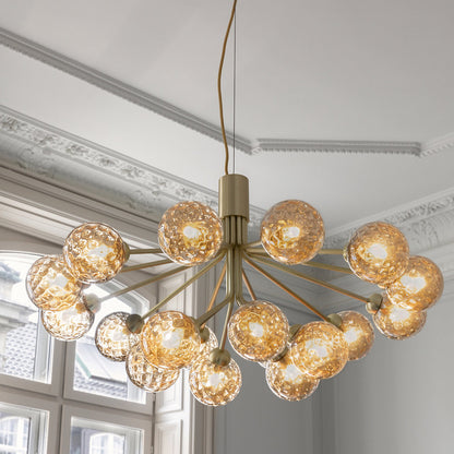 Apiales Chandelier