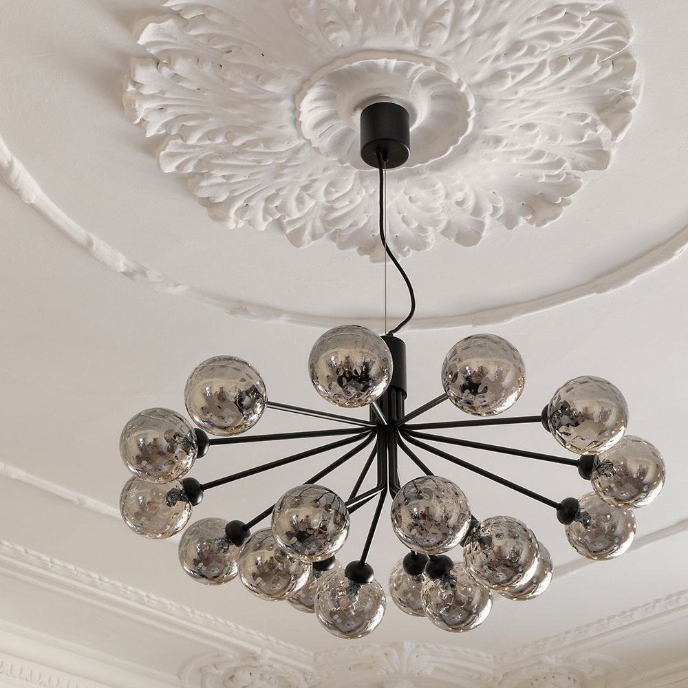Apiales Chandelier