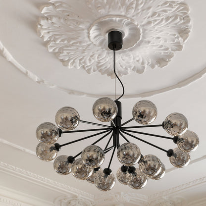 Apiales Chandelier