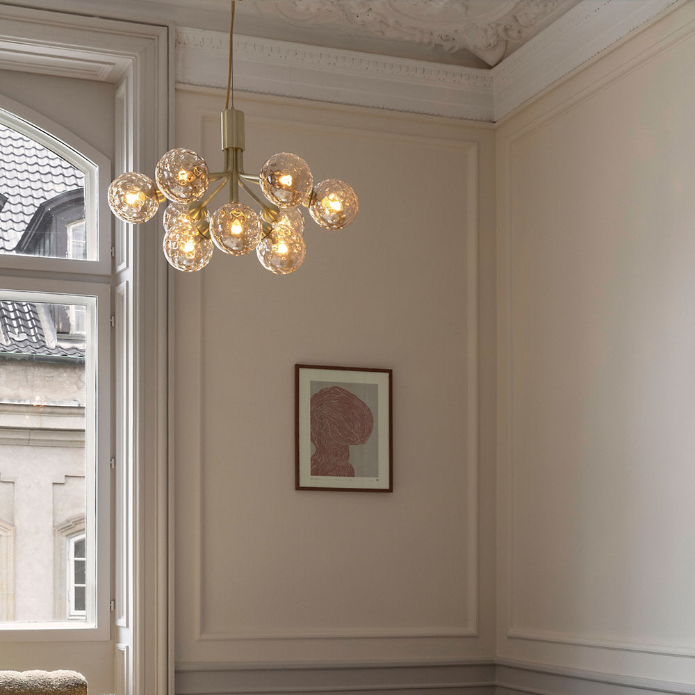 Apiales Chandelier