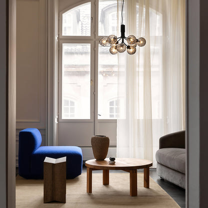 Apiales Chandelier