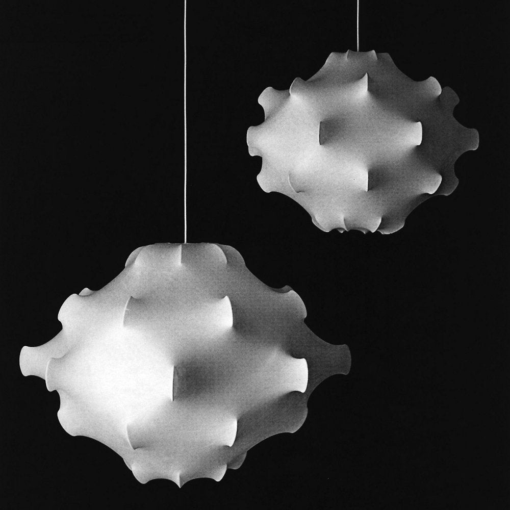Taraxacum Suspension Light