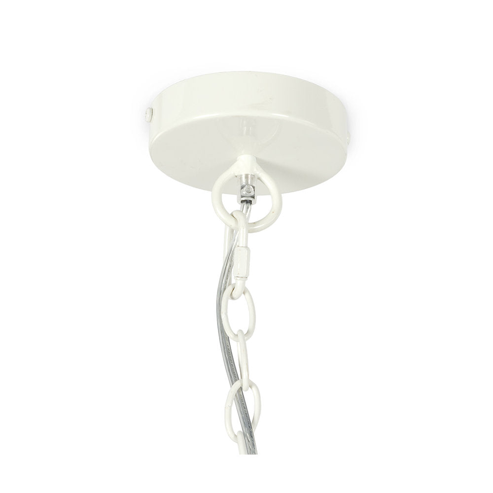 Madera Coco Chandelier