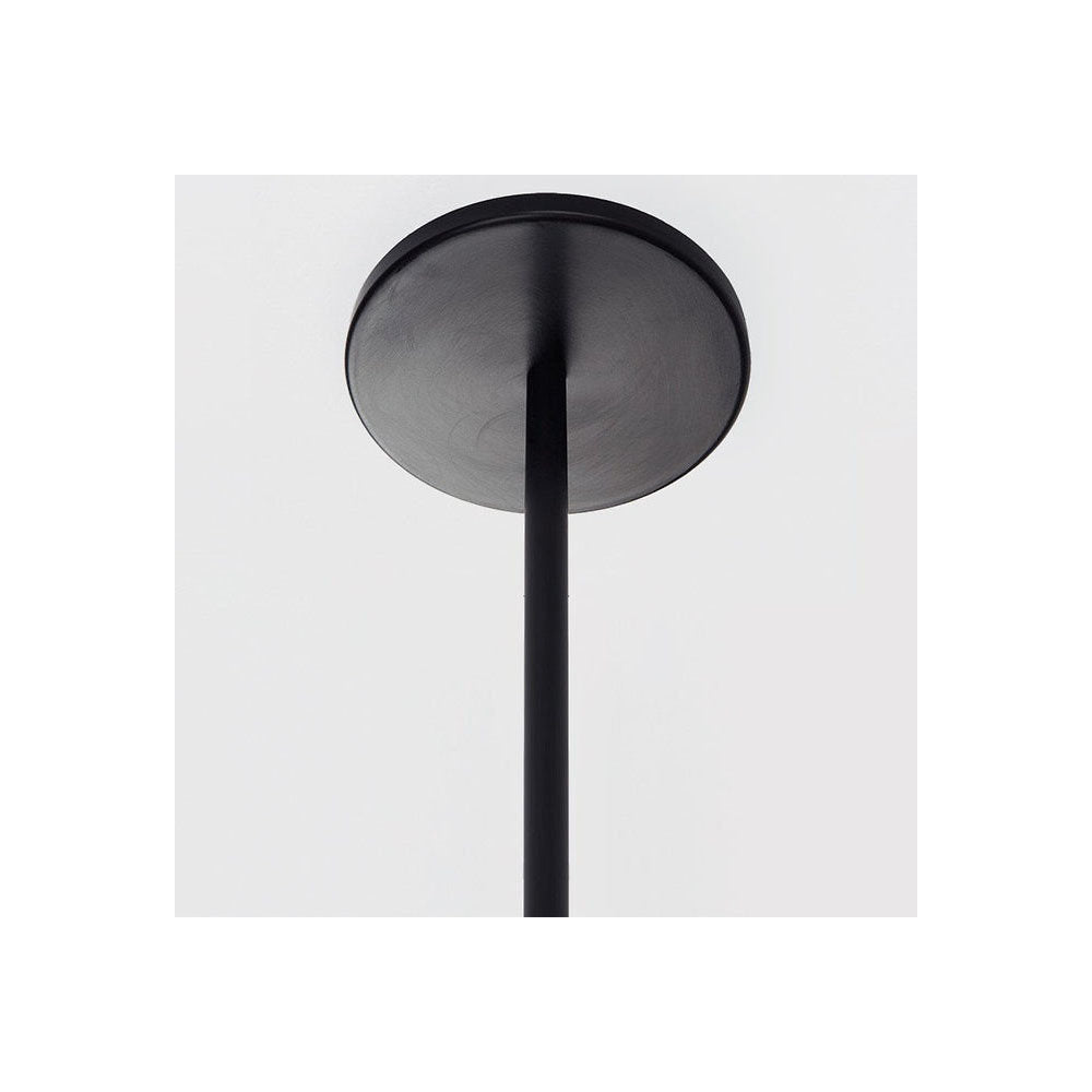 Fiddlehead Semi-Flushmount/Pendant