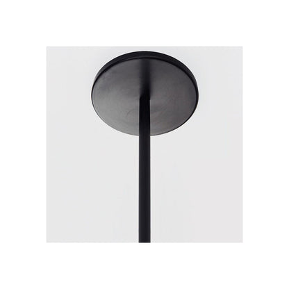 Fiddlehead Semi-Flushmount/Pendant