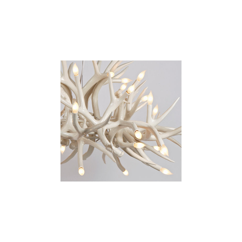 Superordinate Antler Chandelier - 24 Antlers