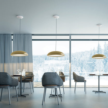 Febo LED Pendant