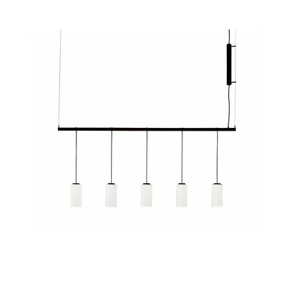 Cirio Multi-Light Linear Pendant