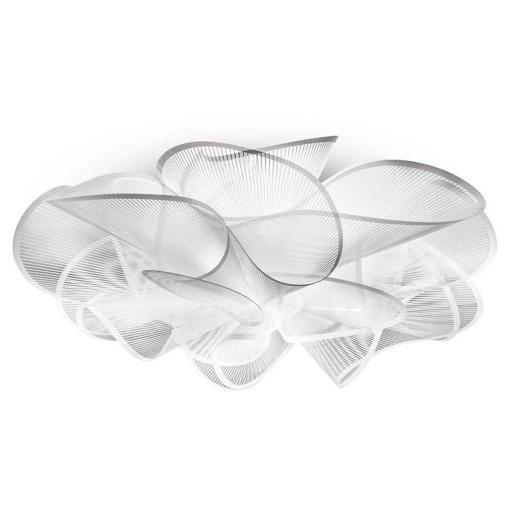 La Belle Etoile Ceiling/Wall Light