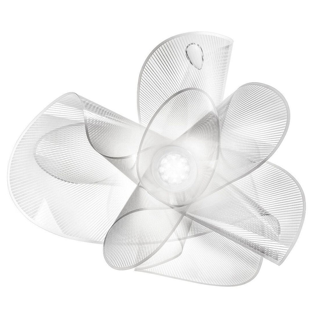 La Belle Etoile Ceiling/Wall Light