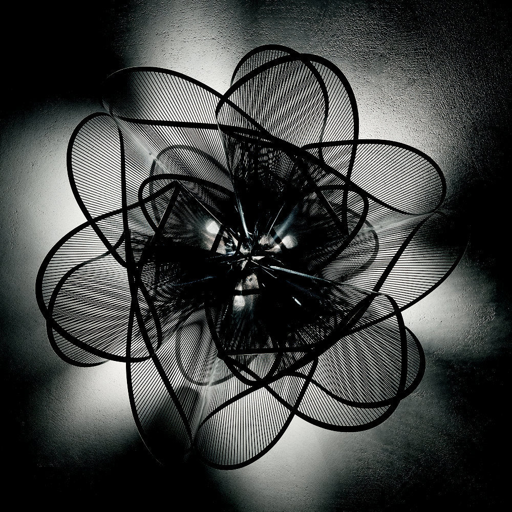 La Belle Etoile Ceiling/Wall Light