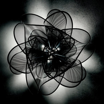 La Belle Etoile Ceiling/Wall Light