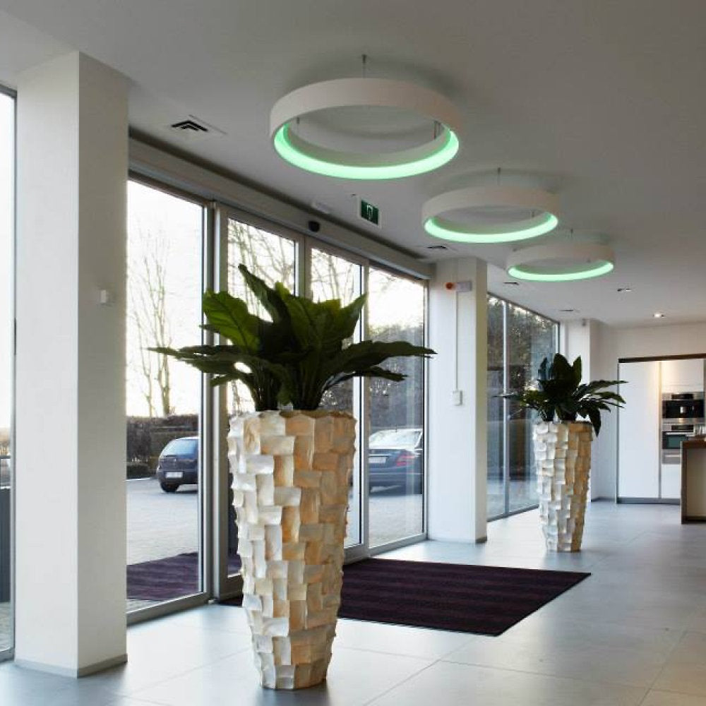 Hoop LED Chandelier