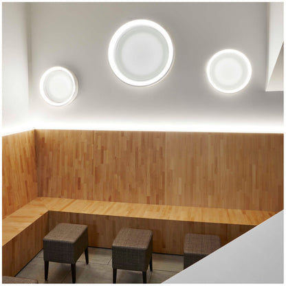 Hoop LED Wall Sconce