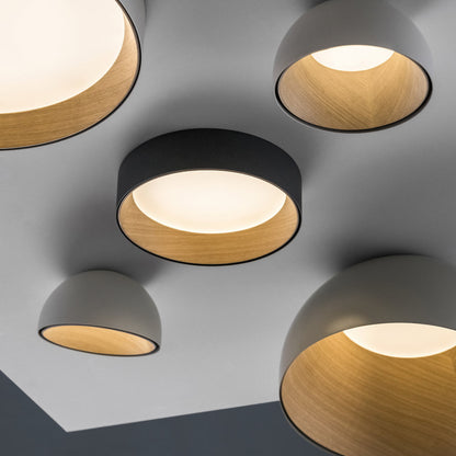 Duo 4870 | 4872 Surface Flushmount