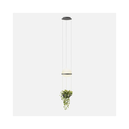 Palma Planter LED Pendant